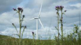 Energy prices fall 30% as wind generates almost one-third of electricity
