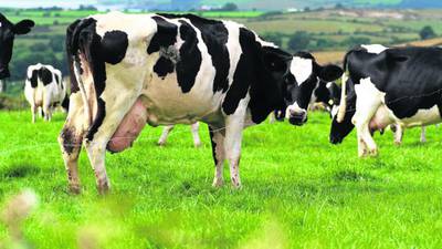 New €1 million scheme to help farmers import hay and silage