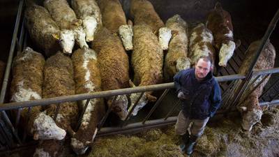 Irish farmers concerned over UK’s proposed trade deal with Australia