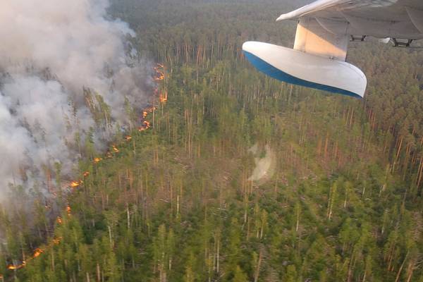 Moscow joins fight against wave of wildfires in Siberia