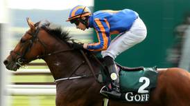 Breeders’ Cup hopes rest with Gleneagles