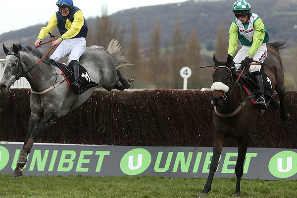 Starchitect dies from winning position at Cheltenham