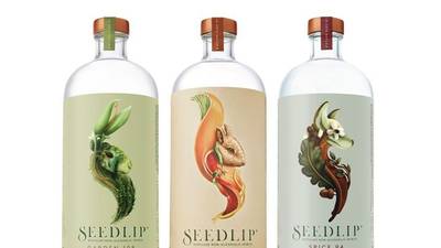Diageo takes majority stake in non-alcoholic spirit maker Seedlip