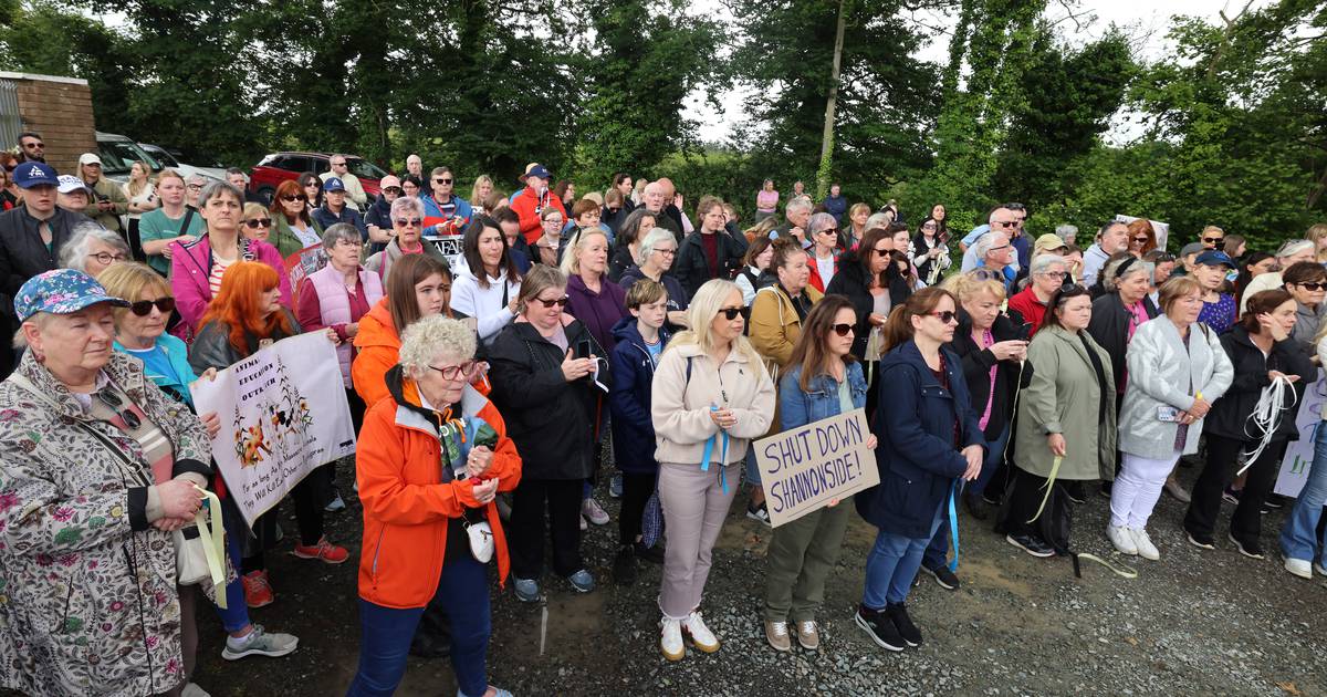 Protesters call for equine abattoir in Co Kildare to be shut