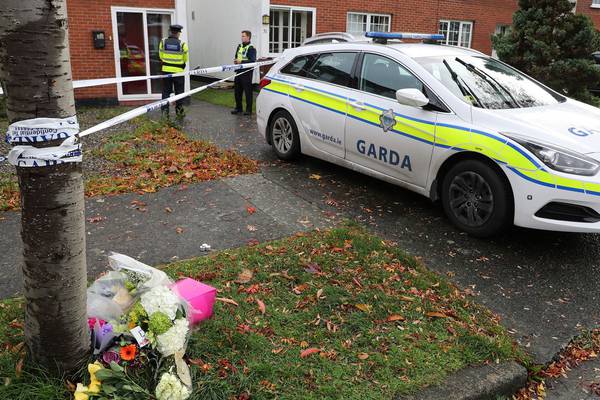 Gardaí review video calls as part of inquiry into deaths of mother and children