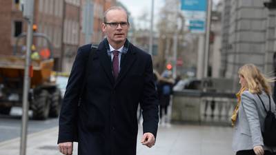 Coveney to hold talks  on  reducing size of some local electoral areas