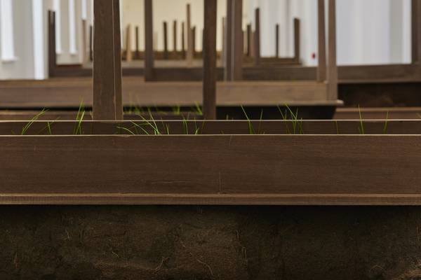 Quiet power of Doris Salcedo’s austere vision