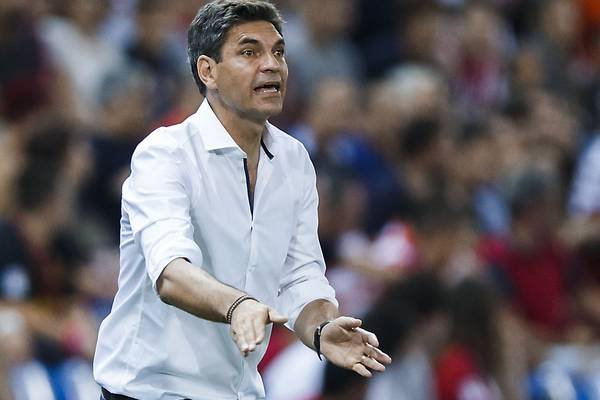 Southampton appoint Pellegrino as new manager