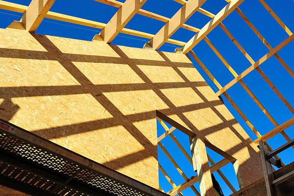 Timber homes could help alleviate housing crisis, say foresters