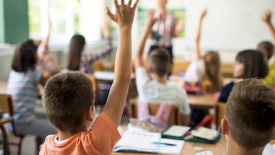Irish primary school pupils could be taught Ukrainian under languages initiative