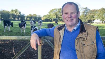 Wexford farm develops a taste for quality yogurt