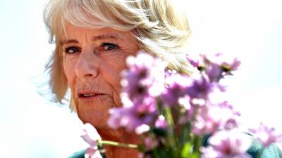 Duchess of Cornwall is buzzing on her trip to south Dublin