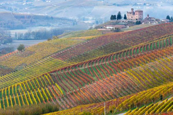 Great Escapes: Flash flight sale, and save 20% on a chauffeur-driven Italian wine tour