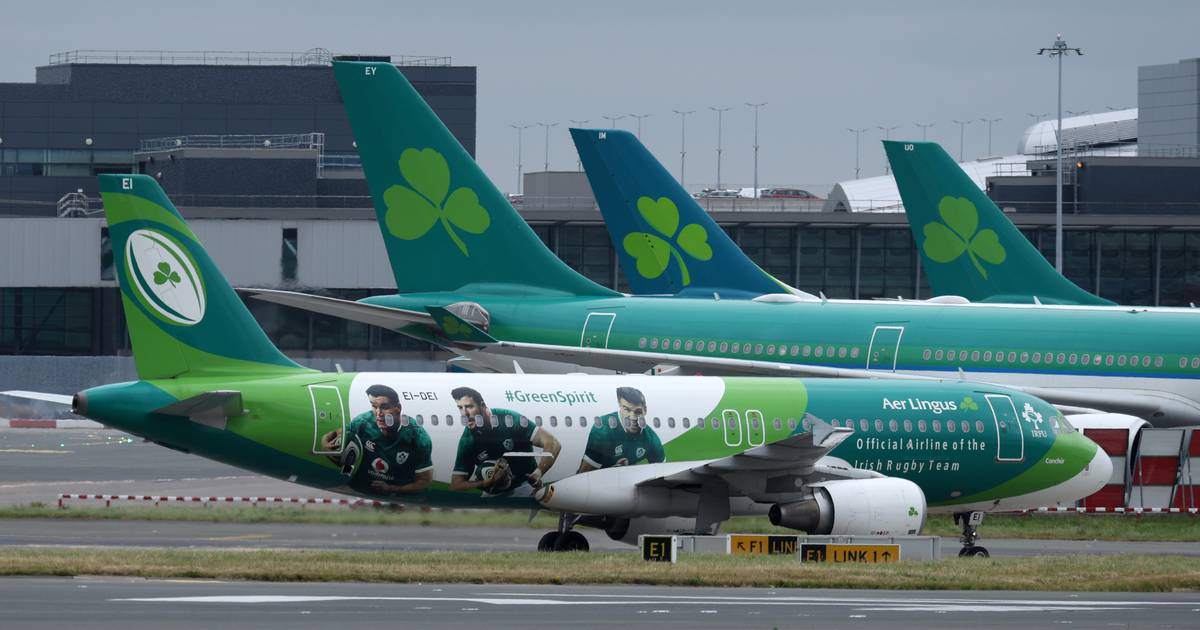 Aer Lingus cancels Toronto-Dublin flight as co-pilot stood down