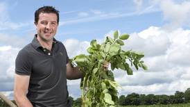Potato farmer Tom Keogh  wins Marketer of the Year