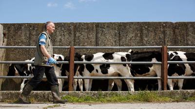 Methane emissions from livestock higher than estimated