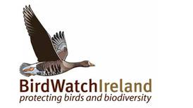 Report finds litany of financial oversight failures at BirdWatch Ireland