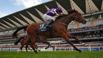 Aidan O’Brien-trained Minding retired after failing to recover from injury