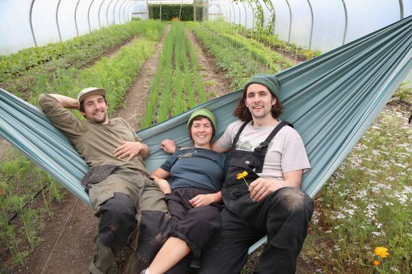 ‘We’re the grumpy twins of the veg scene’: Comedian Kevin McAleer’s adult children turn to organic farming 