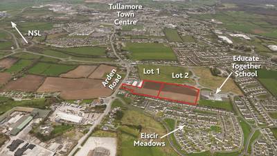 Offaly site for 116 homes to be auctioned in one or two lots