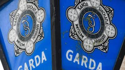 Campaign to encourage African-Irish and Travellers to join Garda