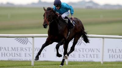Brown Panther to be commemorated with race at the Curragh