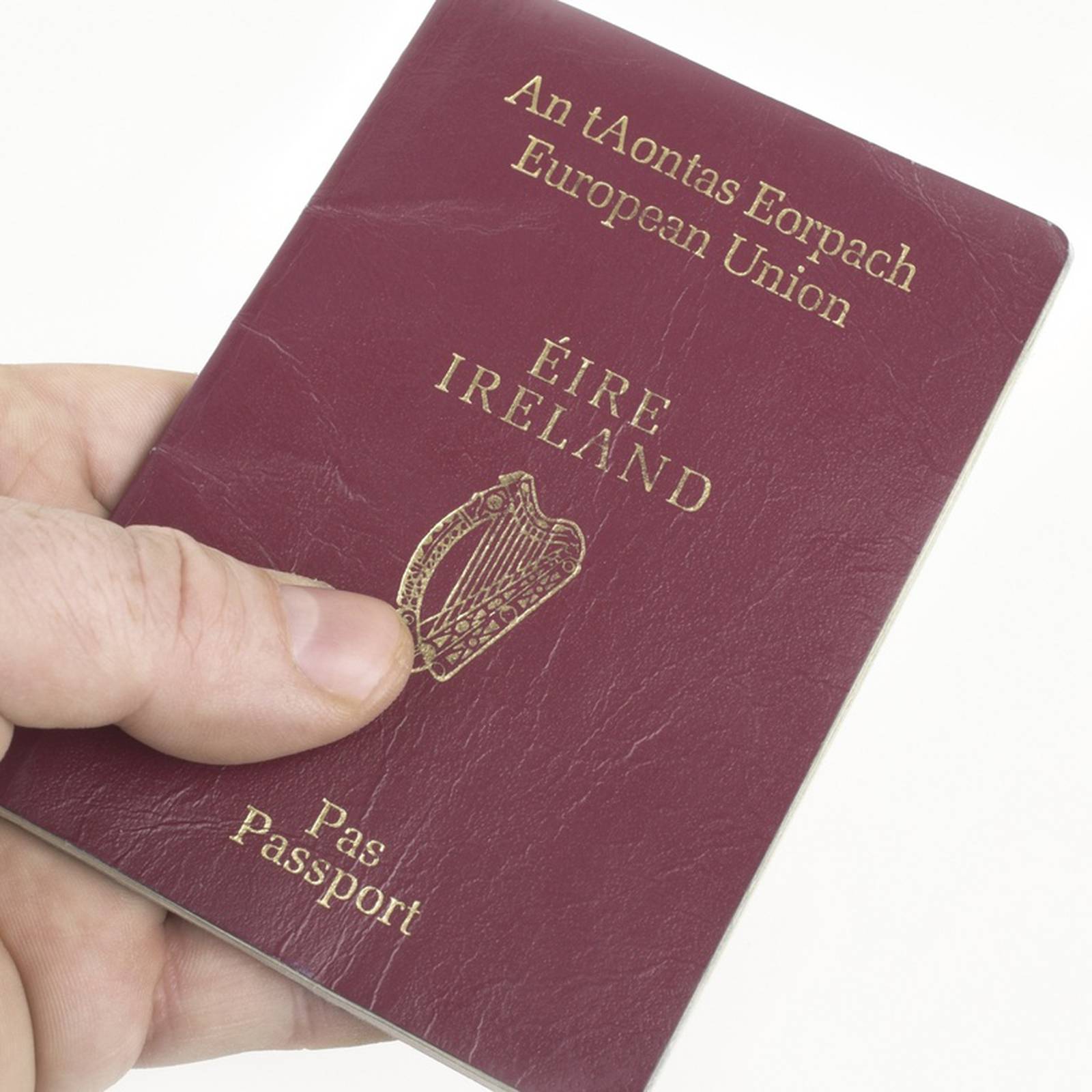 Dublin Passport Holder