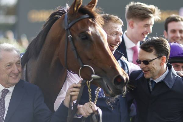 O’Brien equals record haul with Hydrangea success at Ascot