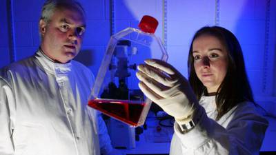 Researchers grow miniature ‘human brain’ in laboratory