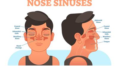 Beating bad sinuses: The magic of shooting salt water up your nose