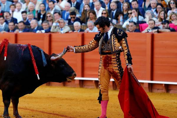 Bull’s death by handkerchief leaves Spaniards divided