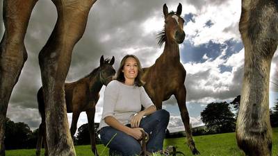 Inbreeding poses major threat to Ireland’s thoroughbred horse sector