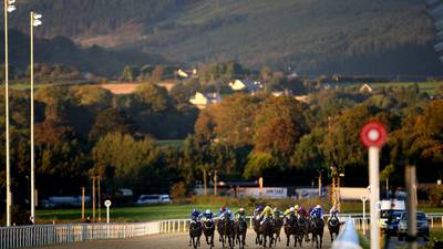 Dundalk track chief dismisses welfare concerns about all-weather circuit