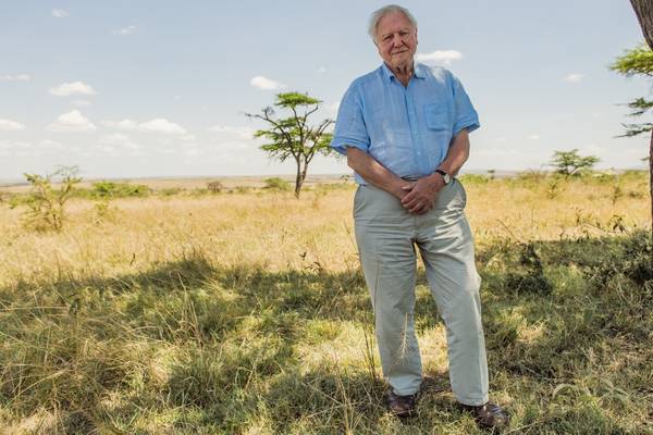 David Attenborough: ‘To continue, humans require more than intelligence. We require wisdom’