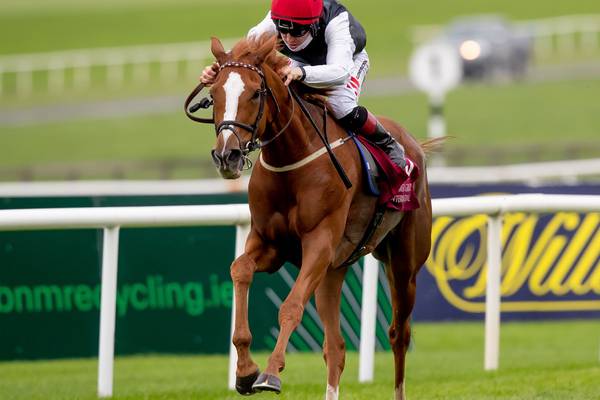 Dermot Weld keeps options open for Search For A Song