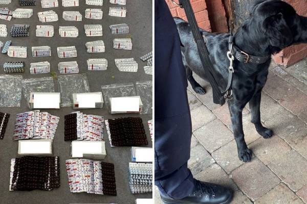 Drugs worth more than €31,000 seized in Dublin and two arrested