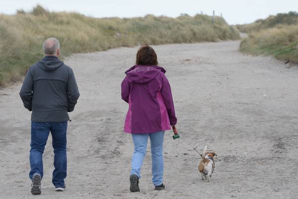 Dogs to be banned from parts of Bull Island to protect wildlife