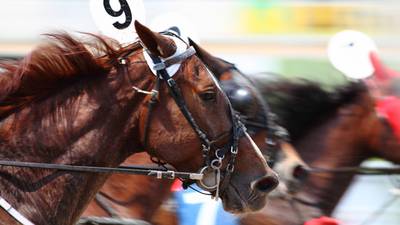 Irish scientists pinpoint what makes thoroughbred racehorses go faster