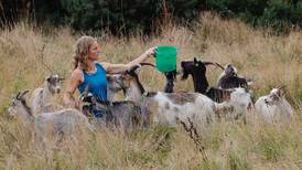 Meet the goat herder of Howth Head