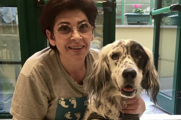 ‘They are my family’: Italian worker gets paid leave to look after sick dog