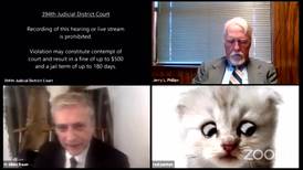 'I'm not a cat': Feline filter fiasco in Texas court