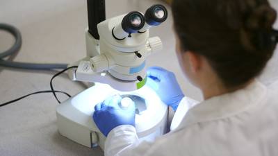 Coombe lab resumes CervicalCheck work after six-month interruption