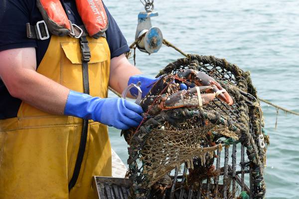 Infringements ‘low’ among Irish fishing fleet, regulator says