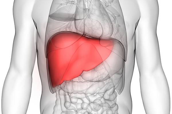 Five essential tips for a healthy liver