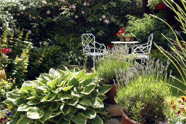 Six tips to make the most of your garden space