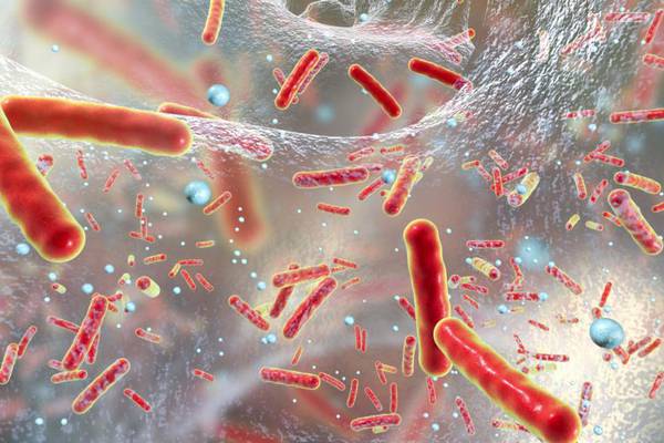 Drug-resistant superbug a factor in seven deaths in Limerick