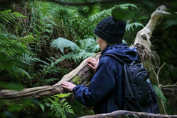 Forest bathing in Wicklow: No swimsuit required