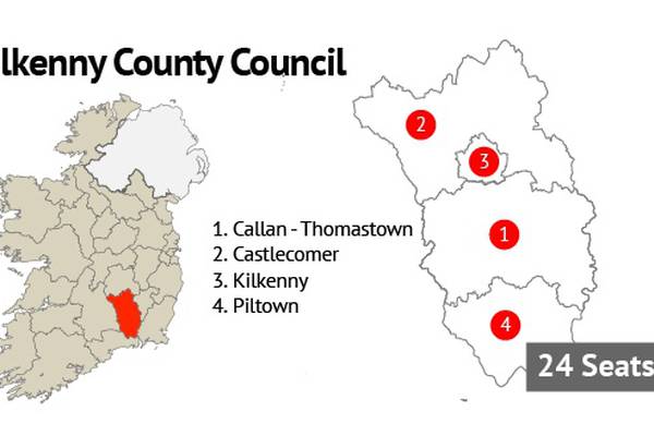 Kilkenny County Council: Brother of high-profile FF TD elected on 11th count