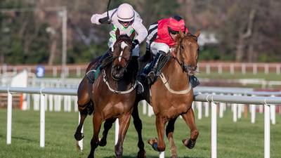 Nicky Richards eyeing a Leopardstown return with Simply Ned