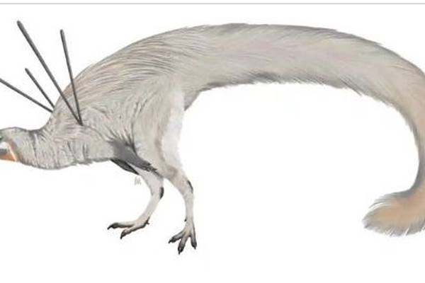 ‘Like nothing seen in nature before’: Scientists discover strange dinosaur